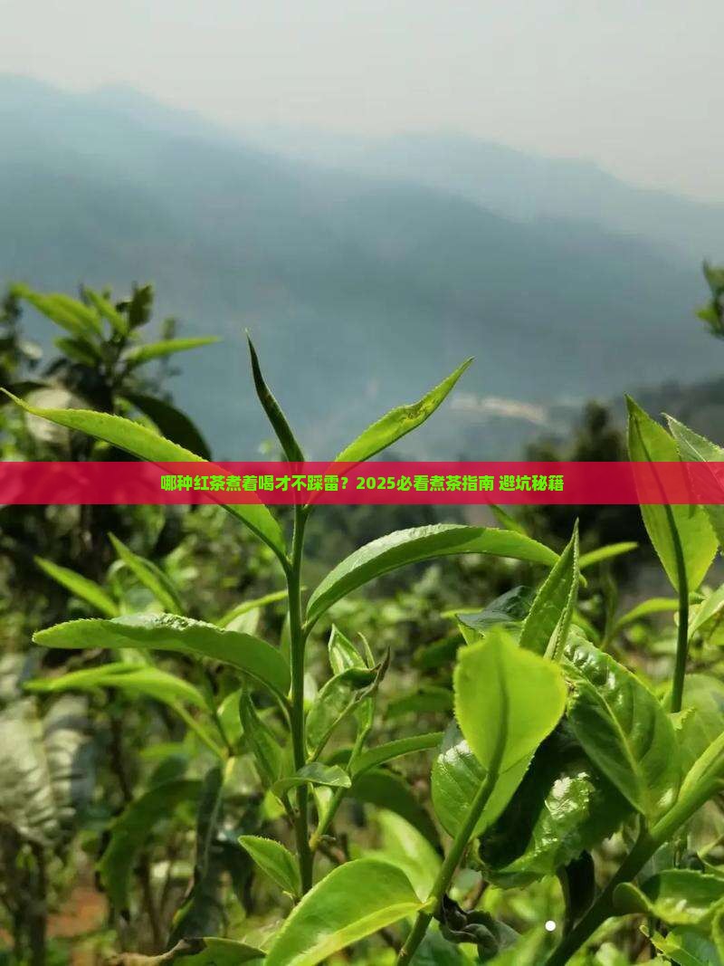 哪种红茶适合煮着喝
