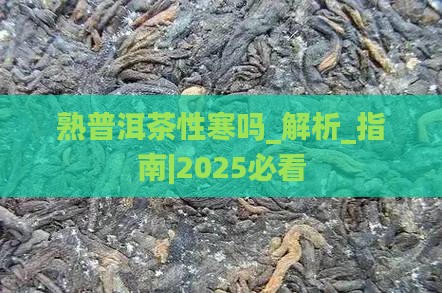熟普洱茶性寒吗