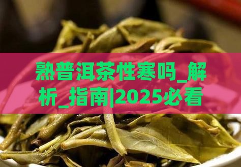熟普洱茶性寒吗
