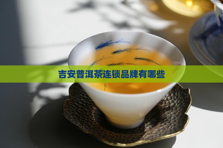吉安普洱茶连锁品牌有哪些