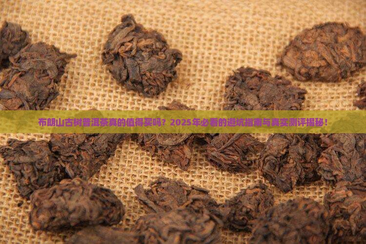布朗山古树普洱茶的排行榜
