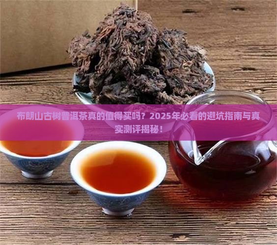 布朗山古树普洱茶的排行榜