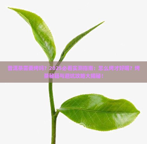 普洱茶需要烤吗怎么烤才好喝