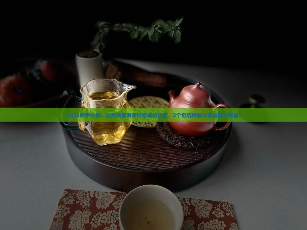 山月高普洱茶价格
