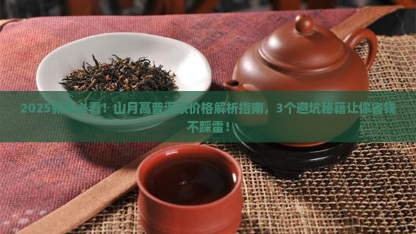 山月高普洱茶价格