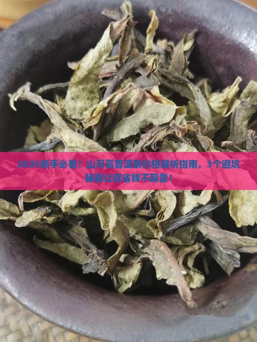山月高普洱茶价格