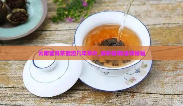 云南普洱茶能泡几年茶叶