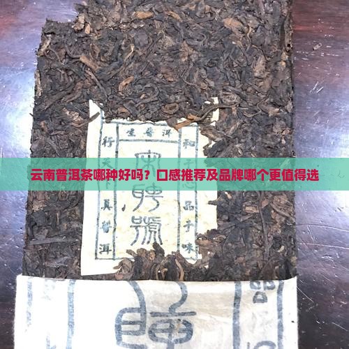 云南普洱茶哪种好好吗