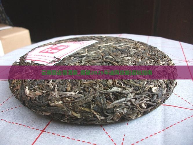 云南景边普洱茶