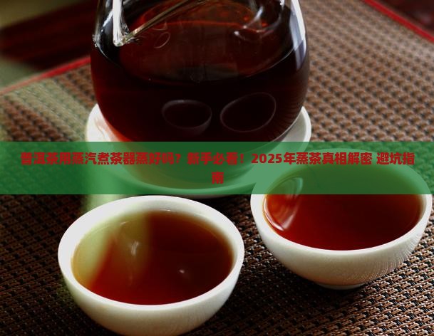 普洱茶用蒸汽煮茶器蒸好吗