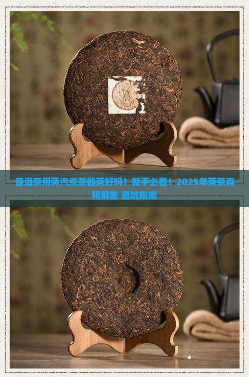 普洱茶用蒸汽煮茶器蒸好吗