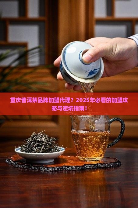 重庆普洱茶品牌加盟代理