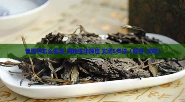 普洱茶怎么生津