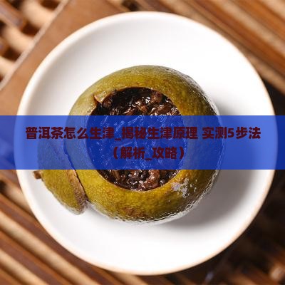 普洱茶怎么生津