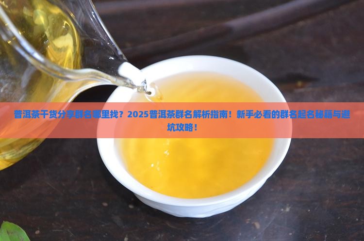 普洱茶干货分享群名