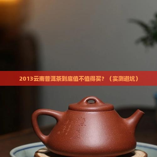 2013云南普洱茶