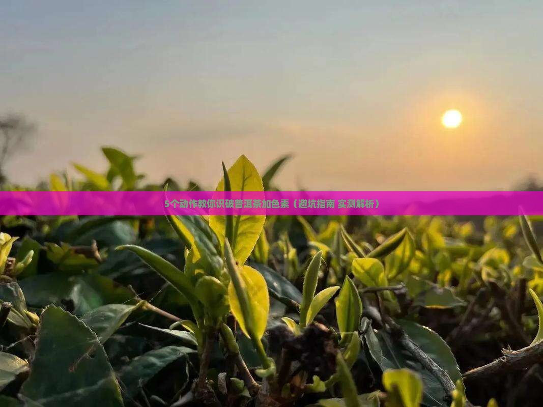 如何辨认普洱茶加色素