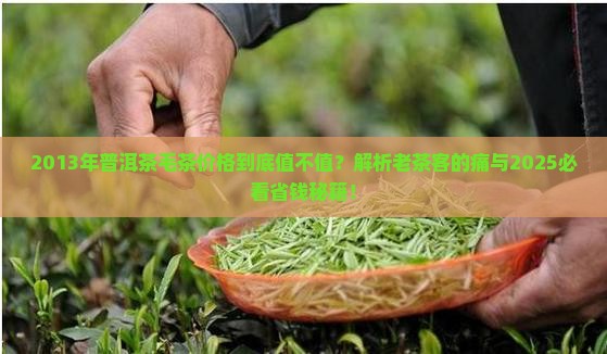 2013年普洱茶毛茶价格