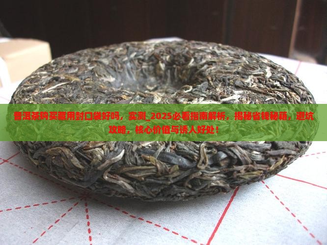 普洱茶购买藏用封口袋好吗