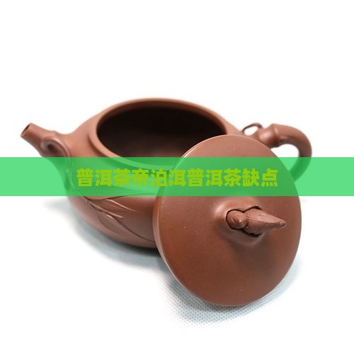 帝泊洱普洱茶缺点