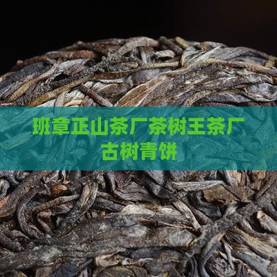 班章正山茶厂茶树王茶厂古树青饼