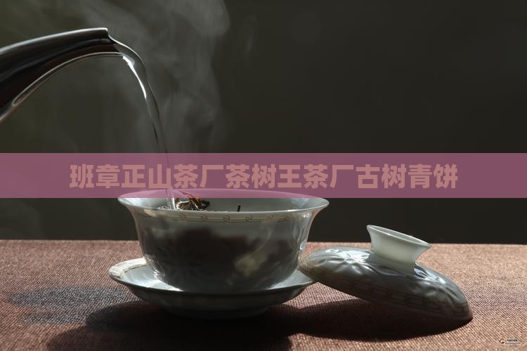 班章正山茶厂茶树王茶厂古树青饼