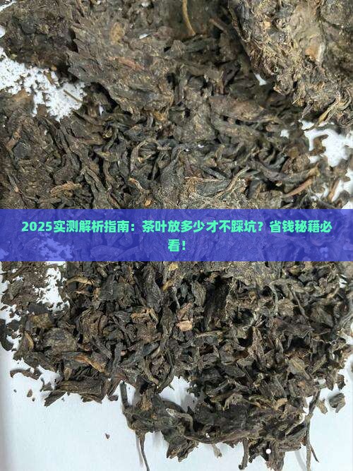 一般茶叶放多少合适