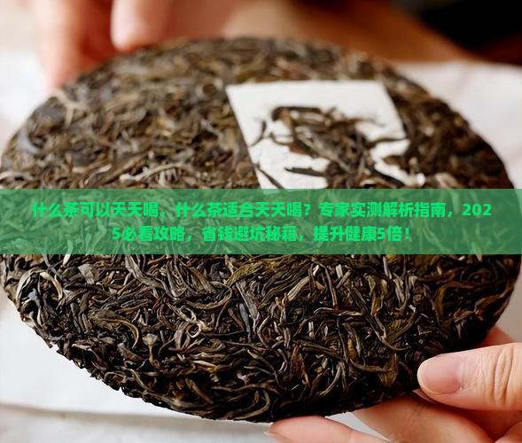 什么茶可以天天喝