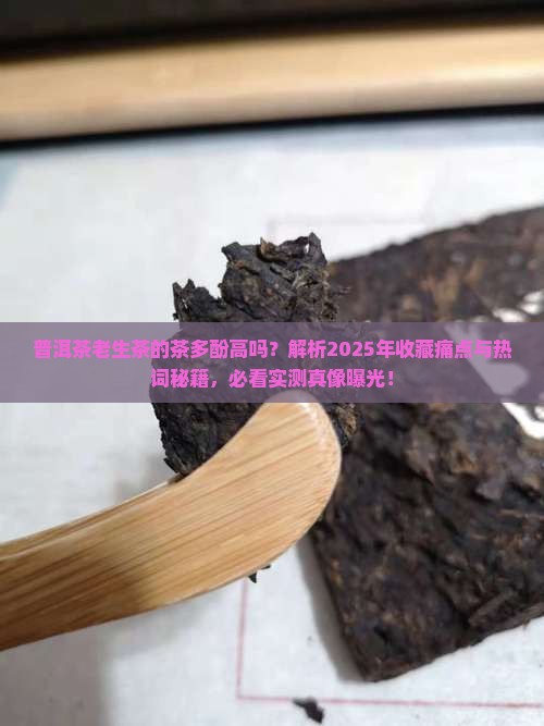 普洱茶老生茶的茶多酚高吗 普洱茶老生茶的茶多酚高吗