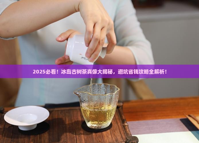 市场上的冰岛古树茶