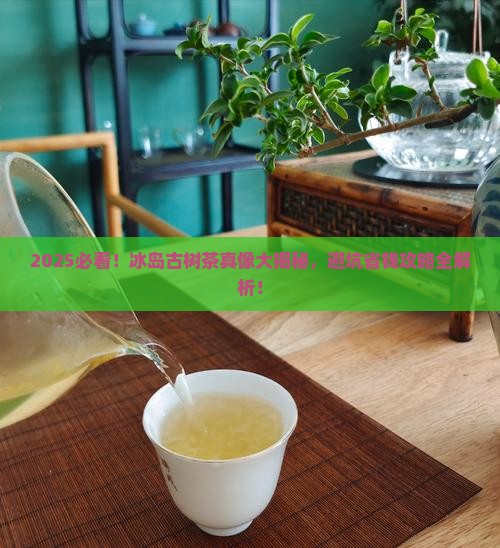 市场上的冰岛古树茶