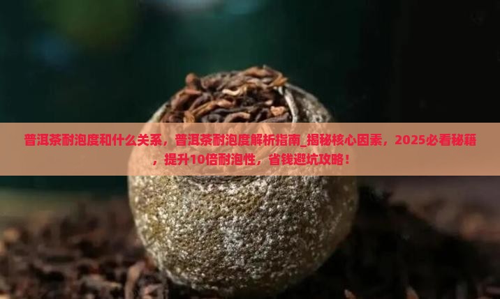 普洱茶耐泡度和什么关系