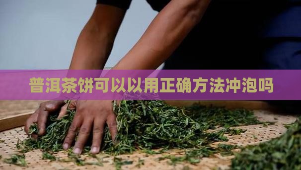 普洱茶饼可以用茶剪吗