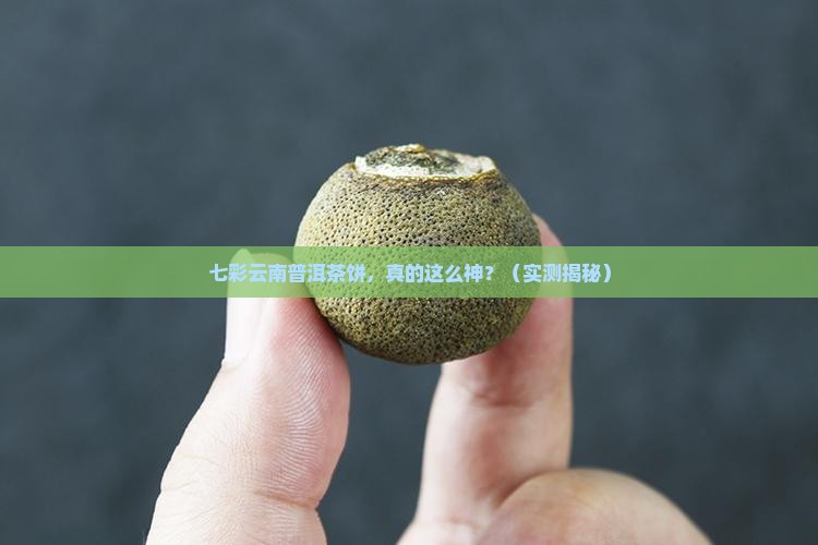 普洱茶饼七彩云南