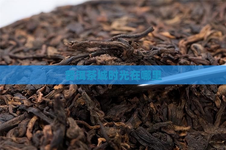 普洱茶城时光在哪里