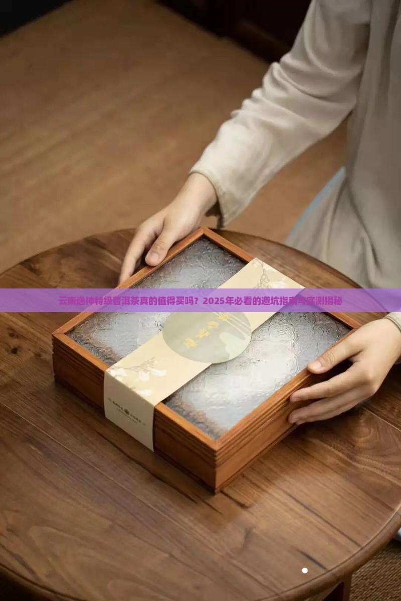 云南逸神特级普洱茶怎么样