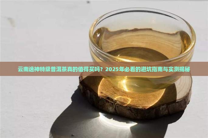 云南逸神特级普洱茶怎么样