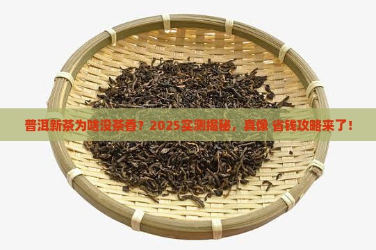 普洱茶新茶没有茶香吗