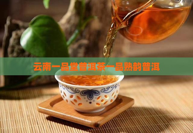 云南一品堂勐海熟韵普洱茶