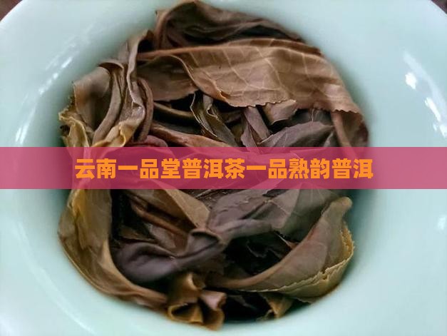 云南一品堂勐海熟韵普洱茶