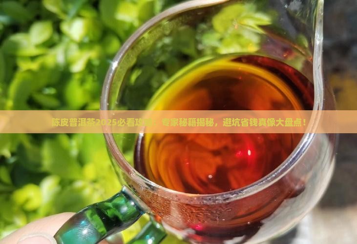 陈皮普洱茶专家建议