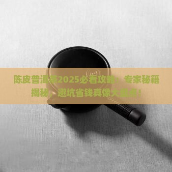 陈皮普洱茶专家建议