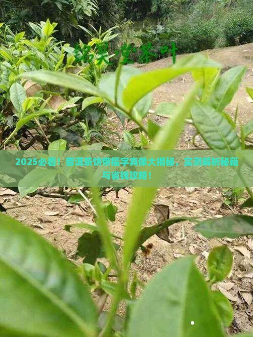 普洱茶饼带福字有几种