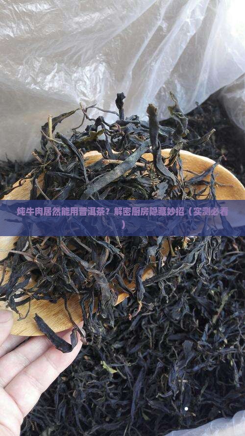 炖牛肉可以用普洱茶