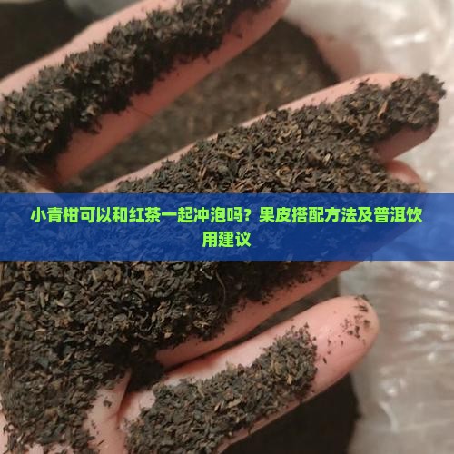 小青柑可以和红茶一起喝吗 小青柑可以和红茶一起喝吗