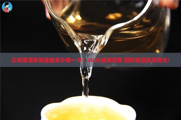 云南普洱茶大概多少钱一斤