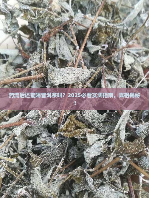 药流后适合喝普洱茶吗