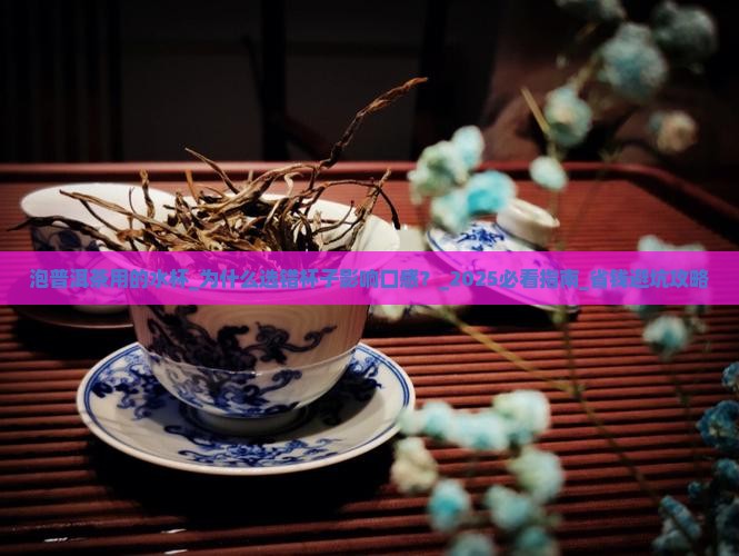 泡普洱茶用的水杯