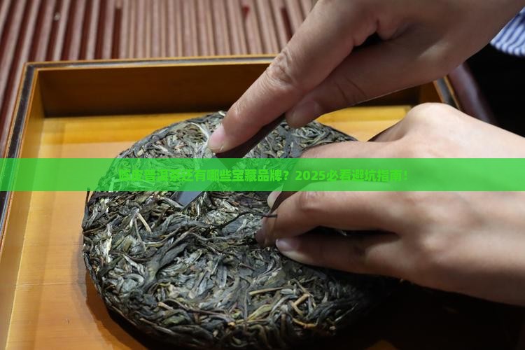 陈皮普洱茶还有什么品牌的
