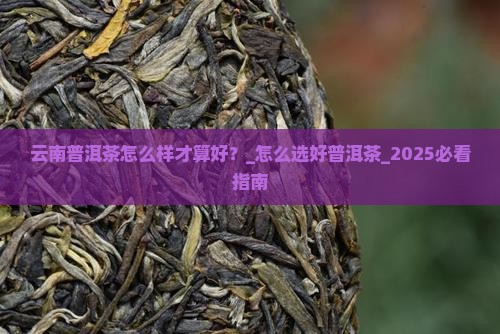 云南普洱茶怎么样才算好